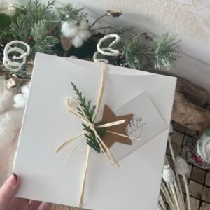 Option paquet cadeau de Noël 🎁