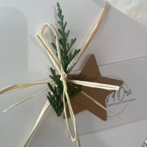 Option paquet cadeau de Noël 🎁